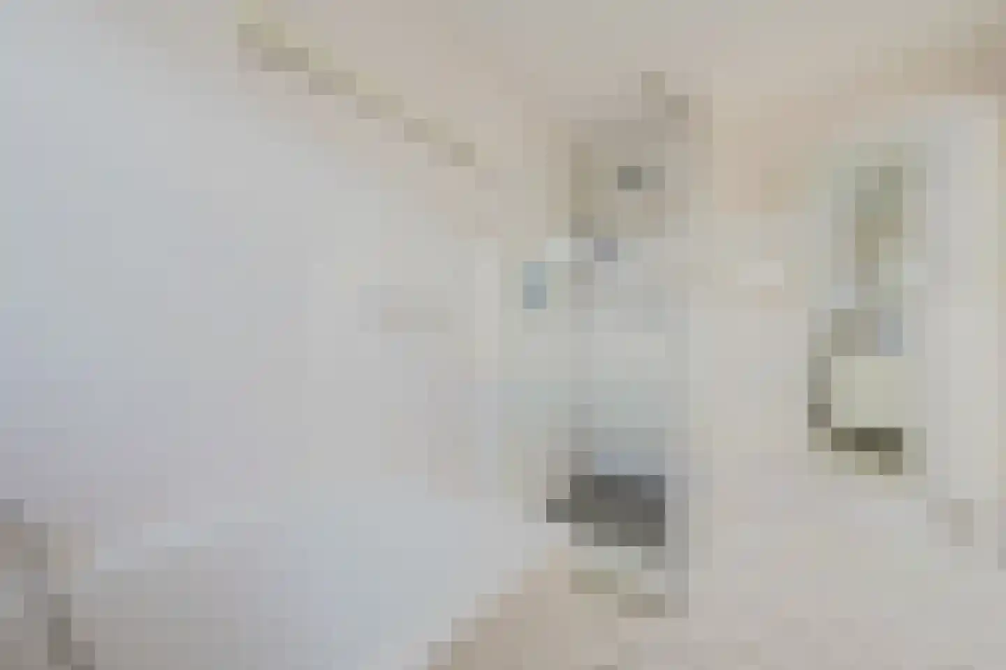 Schouwenburglaan 12 Spijkenisse thumbnail 27