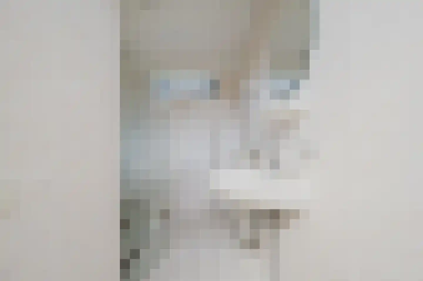Schouwenburglaan 12 Spijkenisse thumbnail 34