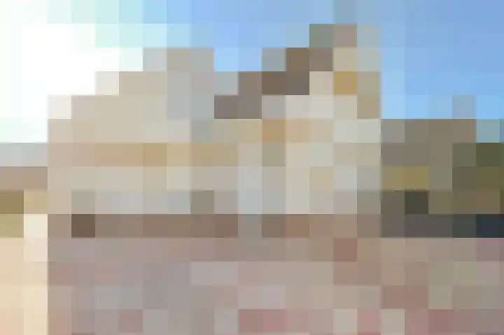 Schouwenburglaan 7 Spijkenisse thumbnail 12