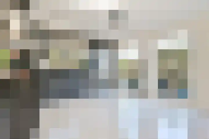 Schouwenburglaan 7 Spijkenisse thumbnail 23