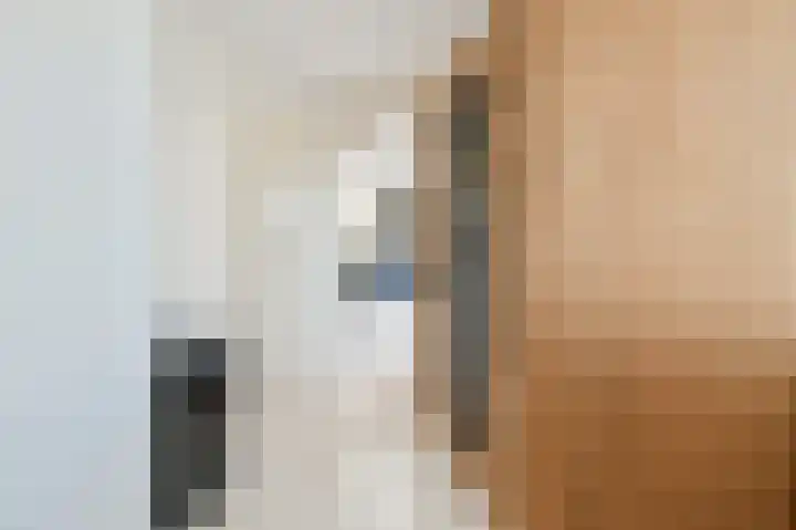 Schouwenburglaan 7 Spijkenisse thumbnail 26