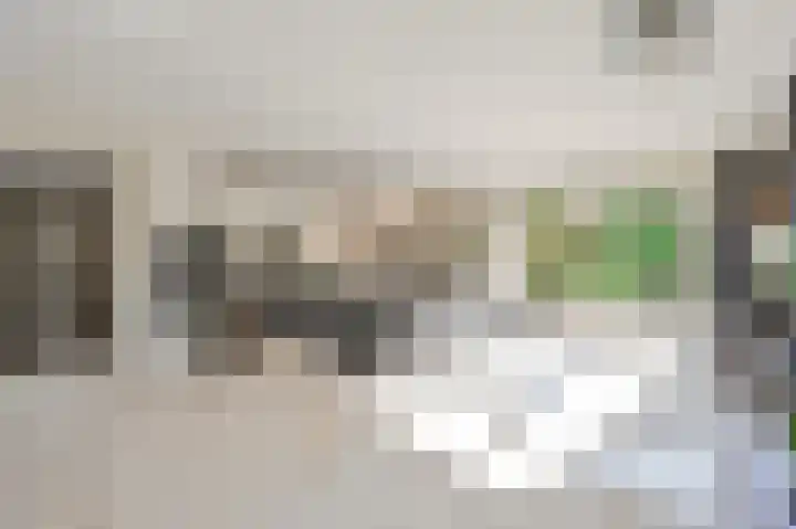 Schouwenburglaan 7 Spijkenisse thumbnail 28