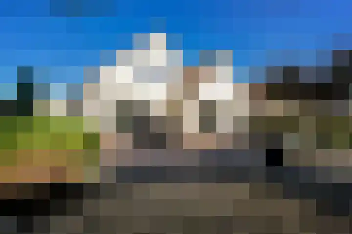 Schouwenburglaan 7 Spijkenisse thumbnail 32
