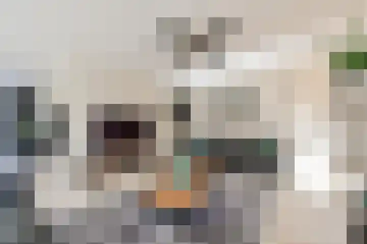 Schouwenburglaan 7 Spijkenisse thumbnail 37