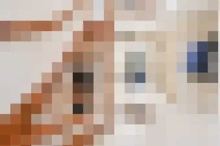 Schouwenburglaan 7 Spijkenisse thumbnail 38