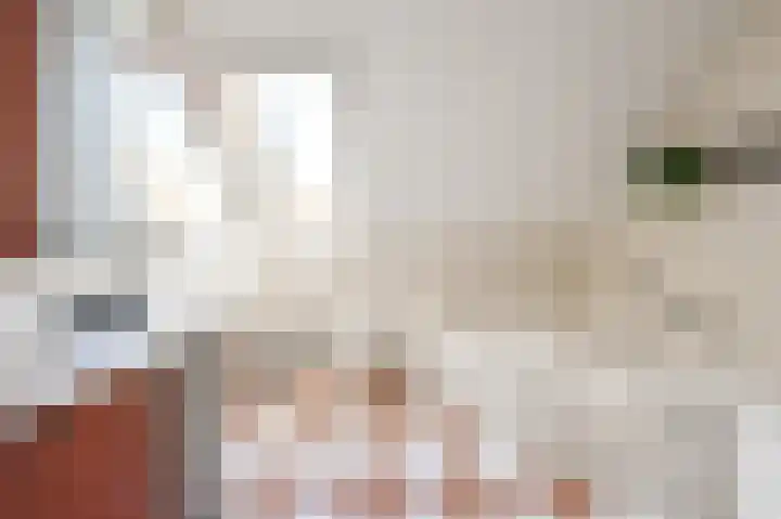 Schouwenburglaan 7 Spijkenisse thumbnail 4