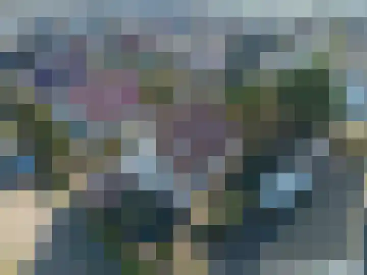 Schouwenburglaan 7 Spijkenisse thumbnail 7