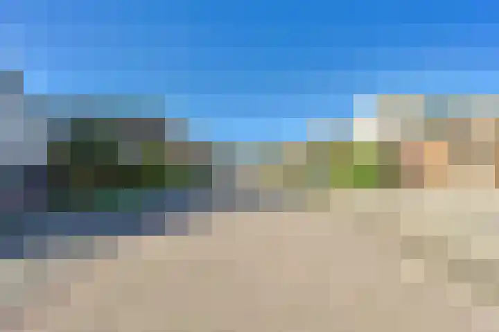 Schouwenburglaan 7 Spijkenisse thumbnail 8