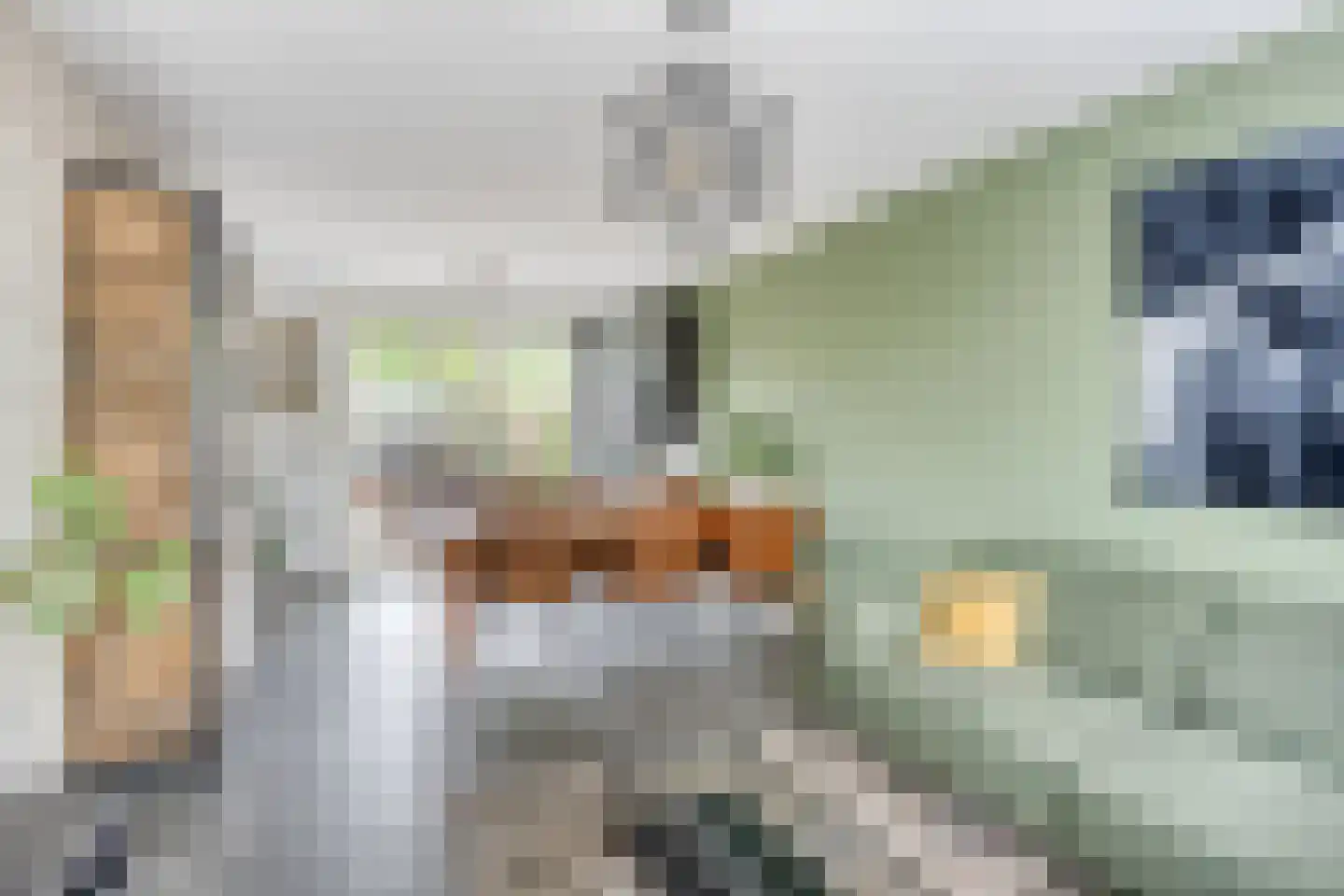 Schouwenburgstraat 2 Nijmegen thumbnail 12