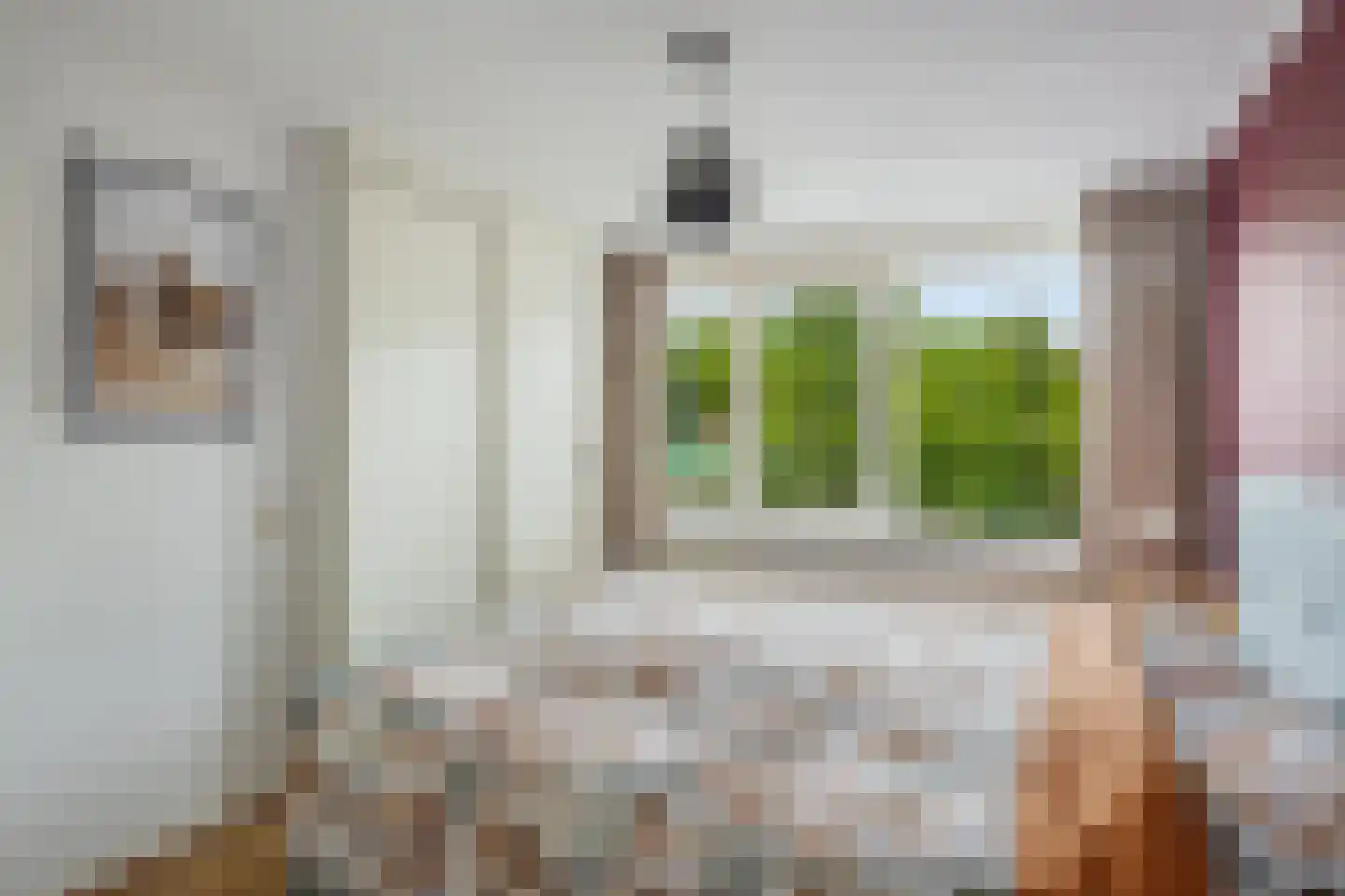Schouwenburgstraat 2 Nijmegen thumbnail 21