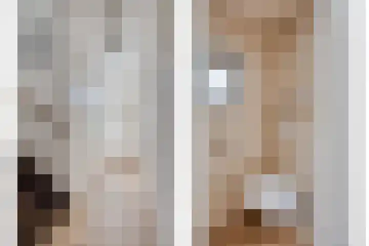Schouwenlaan 16 Eindhoven thumbnail 11