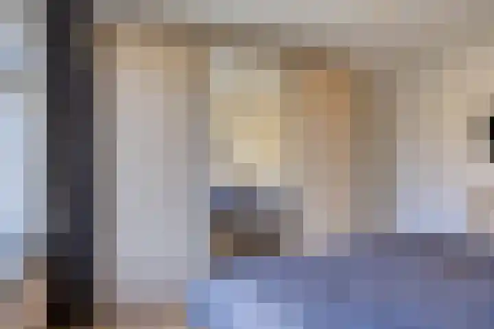 Schouwenlaan 16 Eindhoven thumbnail 14