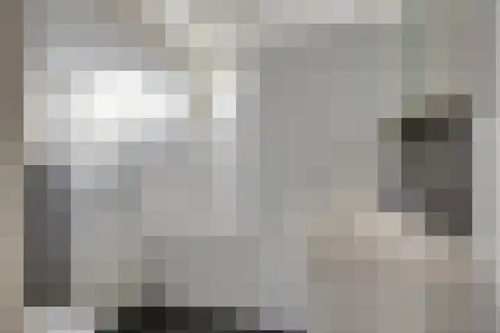 Schouwenlaan 16 Eindhoven thumbnail 15