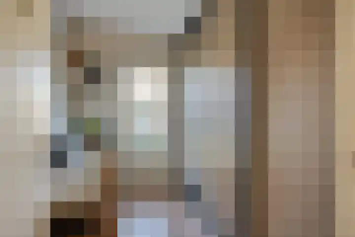 Schouwenlaan 16 Eindhoven thumbnail 19