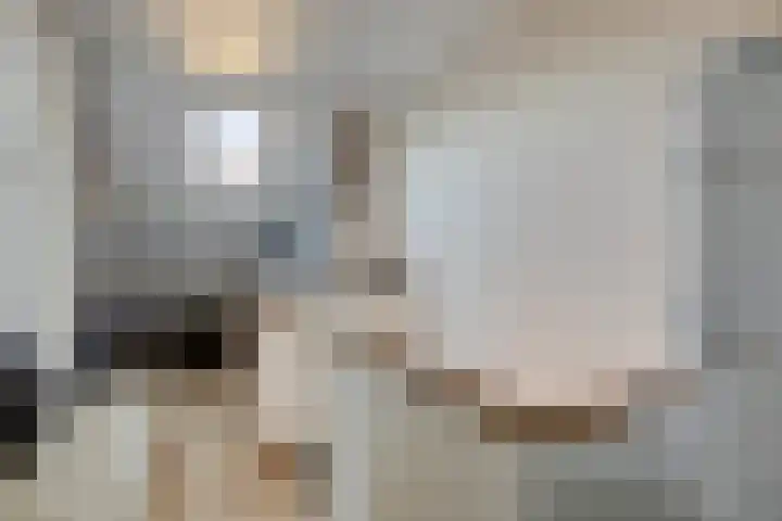 Schouwenlaan 16 Eindhoven thumbnail 22
