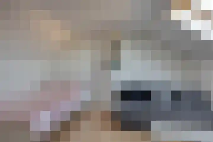 Schouwenlaan 16 Eindhoven thumbnail 24