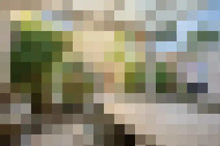 Schouwenlaan 16 Eindhoven thumbnail 26