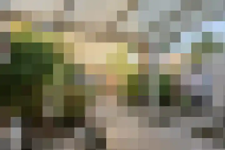 Schouwenlaan 16 Eindhoven thumbnail 27