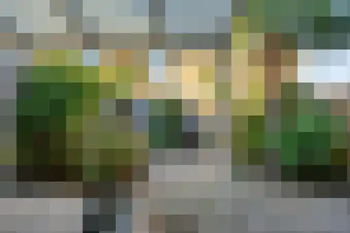 Schouwenlaan 16 Eindhoven thumbnail 28