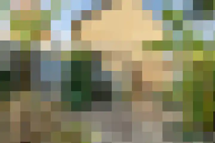 Schouwenlaan 16 Eindhoven thumbnail 29