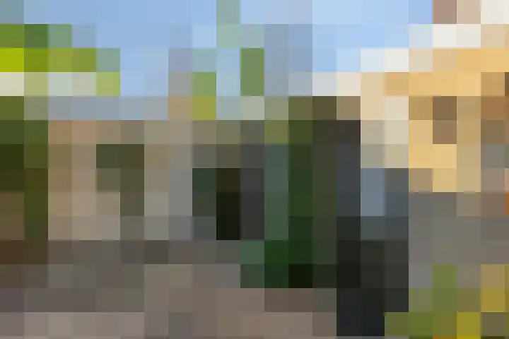 Schouwenlaan 16 Eindhoven thumbnail 30