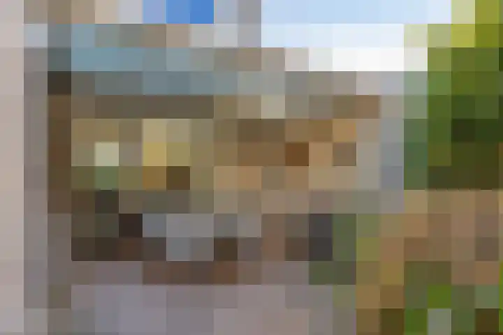 Schouwenlaan 16 Eindhoven thumbnail 33