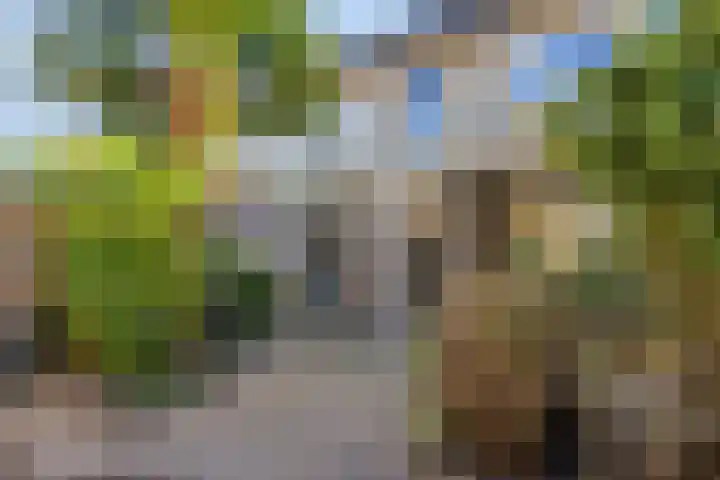 Schouwenlaan 16 Eindhoven thumbnail 34