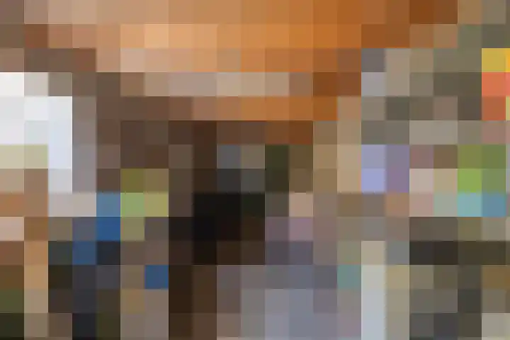 Schouwenlaan 16 Eindhoven thumbnail 35