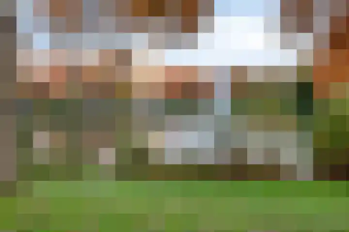 Schouwenlaan 16 Eindhoven thumbnail 38