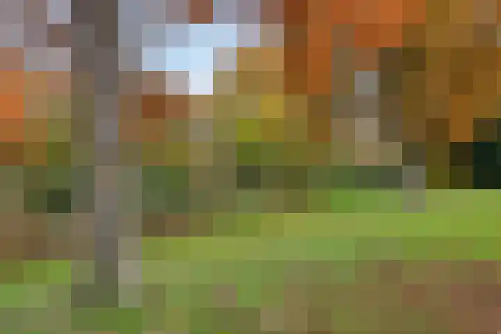 Schouwenlaan 16 Eindhoven thumbnail 39