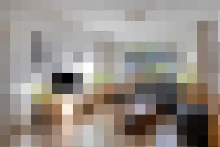 Schouwenlaan 16 Eindhoven thumbnail 4