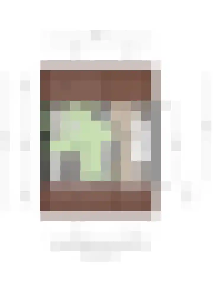 Schouwenlaan 16 Eindhoven thumbnail 43