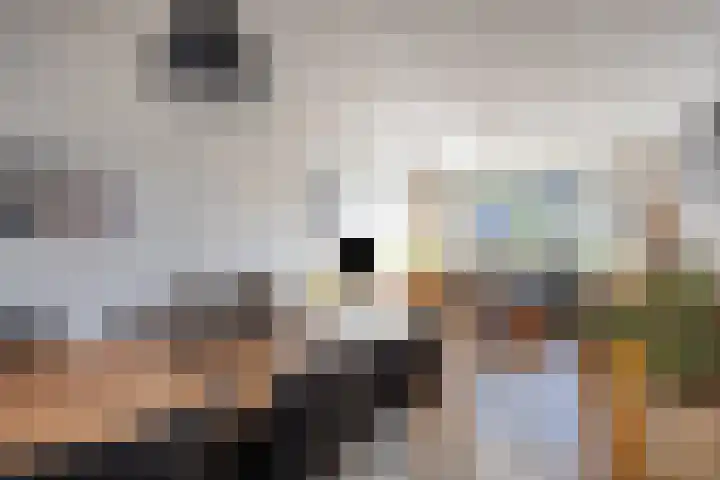 Schouwenlaan 16 Eindhoven thumbnail 6