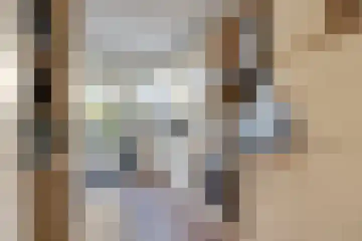Schouwenlaan 16 Eindhoven thumbnail 8