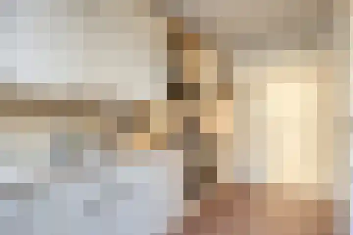 Schouwenlaan 16 Eindhoven thumbnail 9