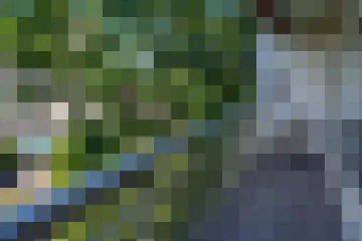 Schouwenselaan 111 Amstelveen thumbnail 13