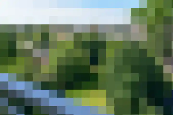 Schouwenselaan 111 Amstelveen thumbnail 16
