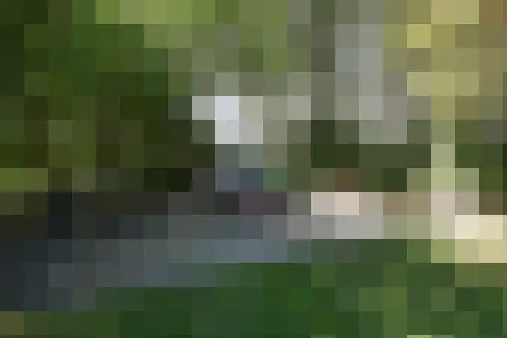 Schouwenselaan 111 Amstelveen thumbnail 29