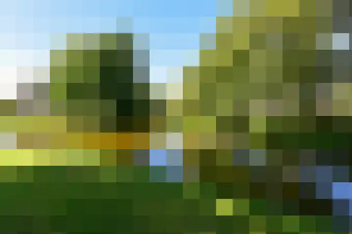 Schouwenselaan 111 Amstelveen thumbnail 31