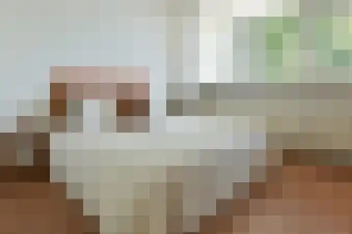 Schouwenselaan 111 Amstelveen thumbnail 8