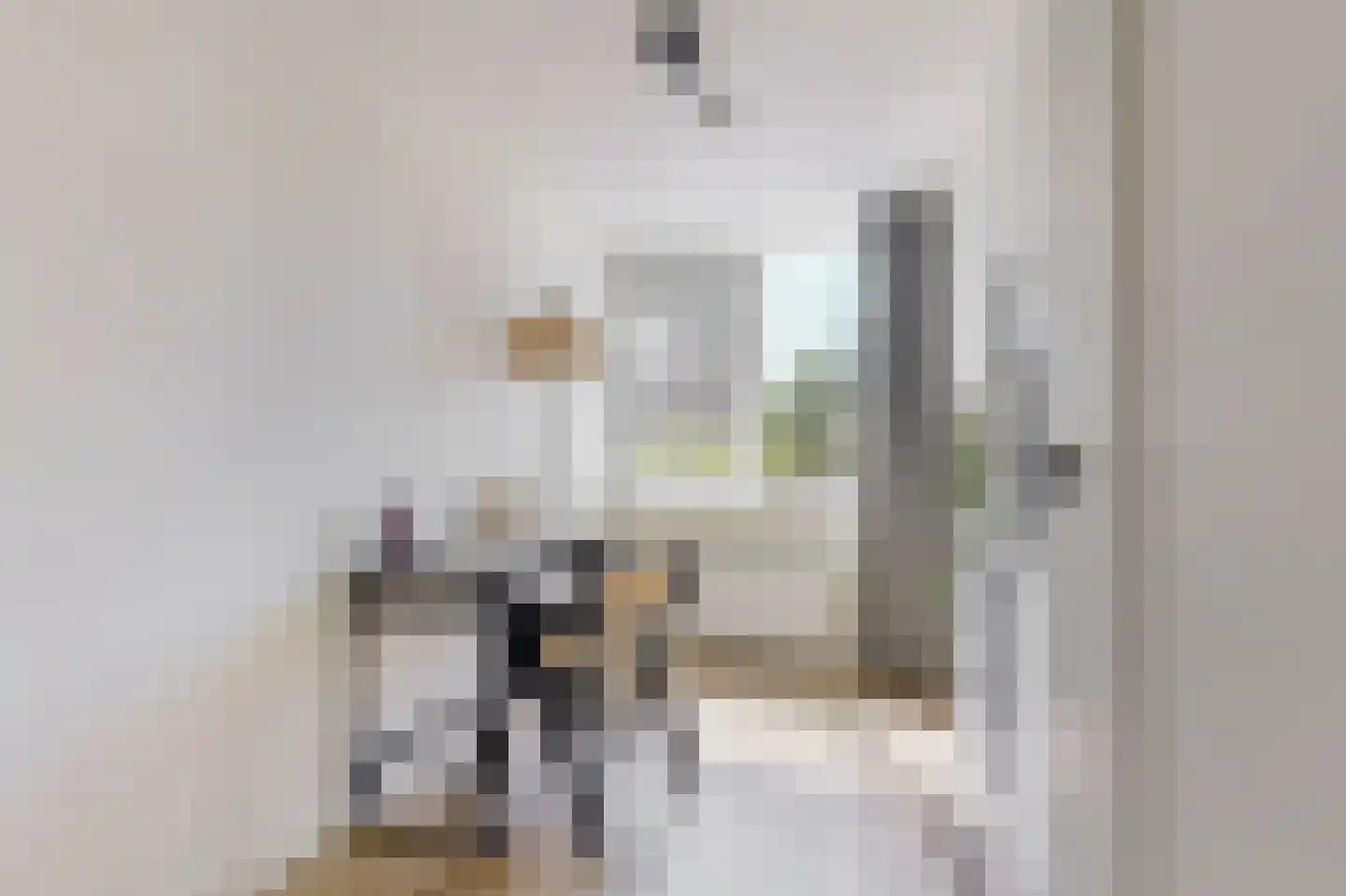 Schouwenselaan 14 Amstelveen thumbnail 19
