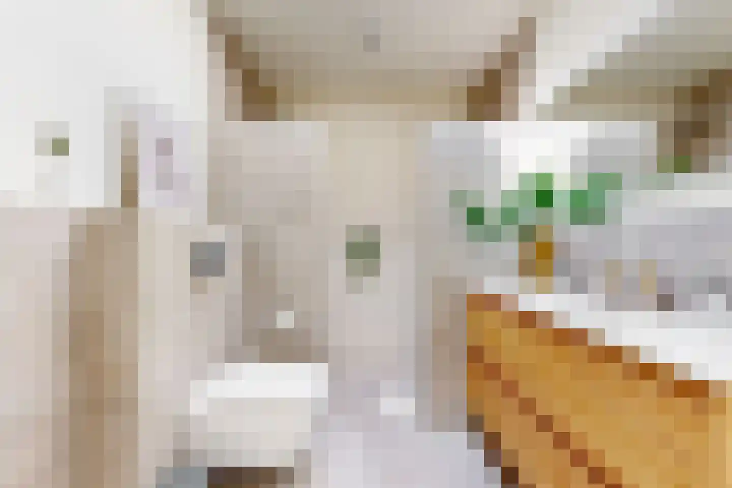 Schouwenselaan 14 Amstelveen thumbnail 35