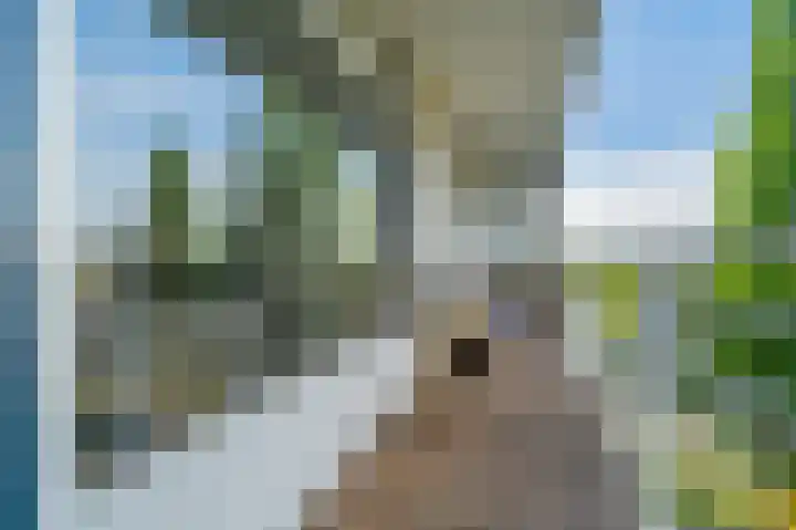 Schouwenselaan 61 Amstelveen thumbnail 15