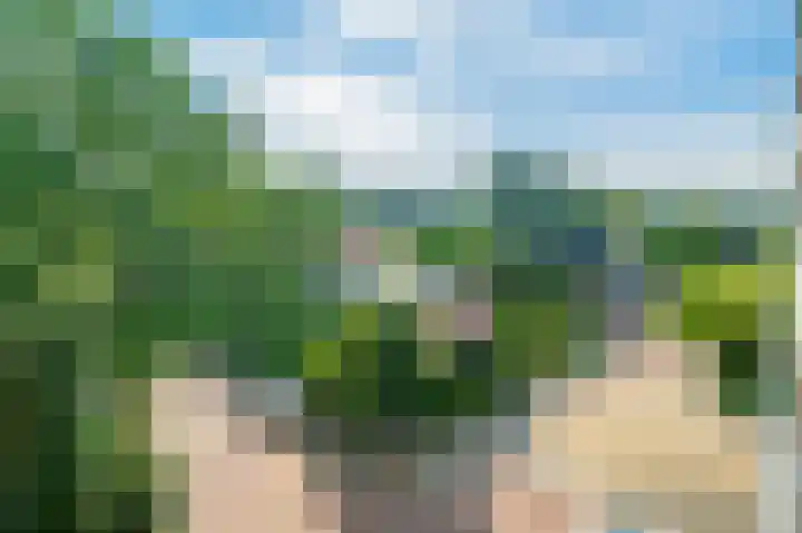Schouwenselaan 61 Amstelveen thumbnail 31