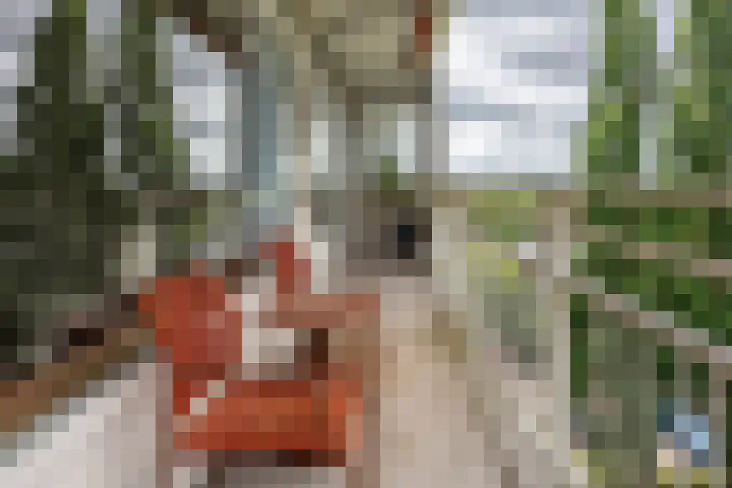Schouwenselaan 75 Amstelveen thumbnail 4