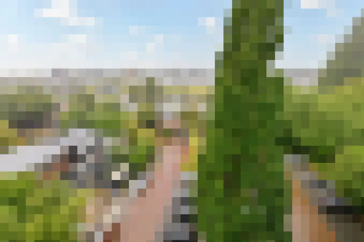 Schouwenselaan 85 Amstelveen thumbnail 16