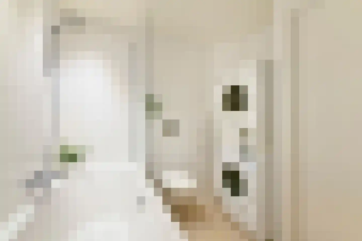 Schouwenselaan 85 Amstelveen thumbnail 22