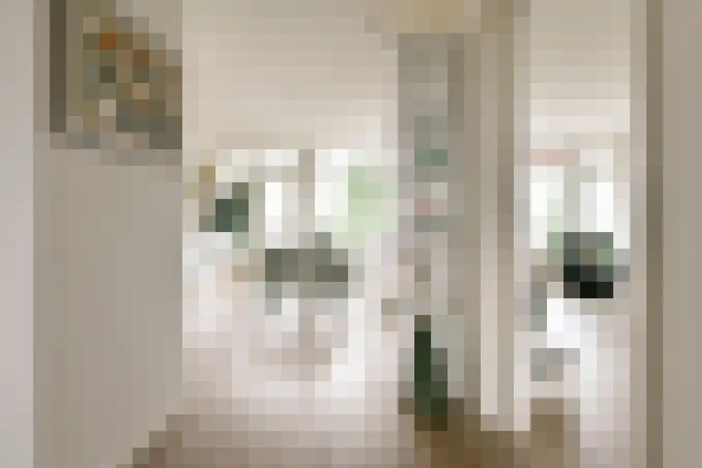 Schouwenselaan 85 Amstelveen thumbnail 6