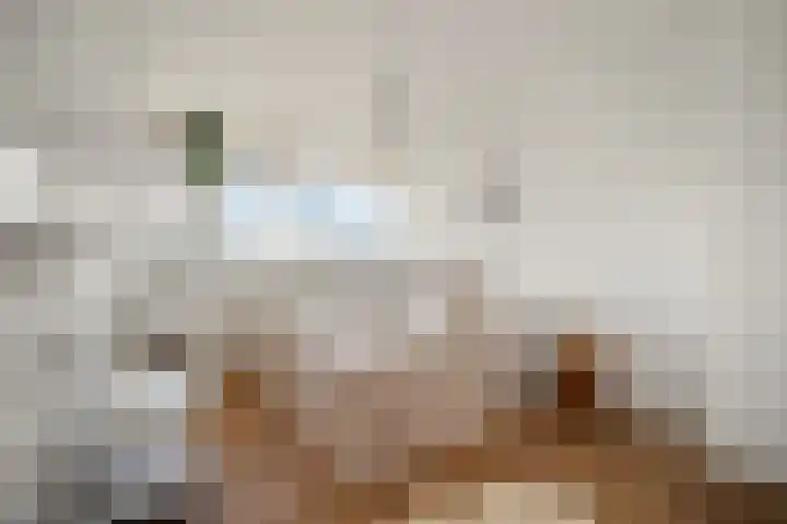 Schouwenselaan 87 Amstelveen thumbnail 15