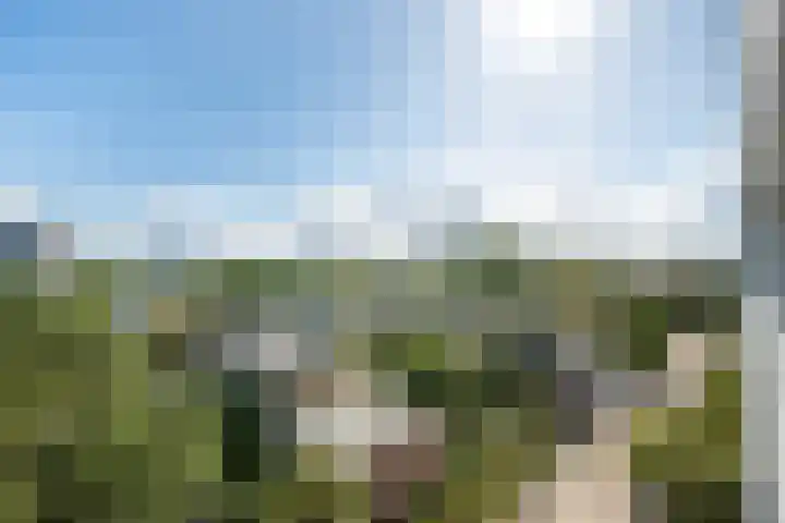 Schouwenselaan 87 Amstelveen thumbnail 20